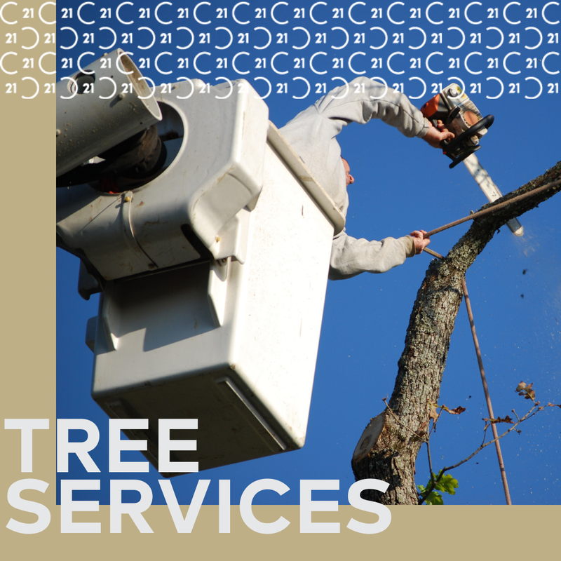 CENTURY 21 Elite Trusted Providers: Tree Services